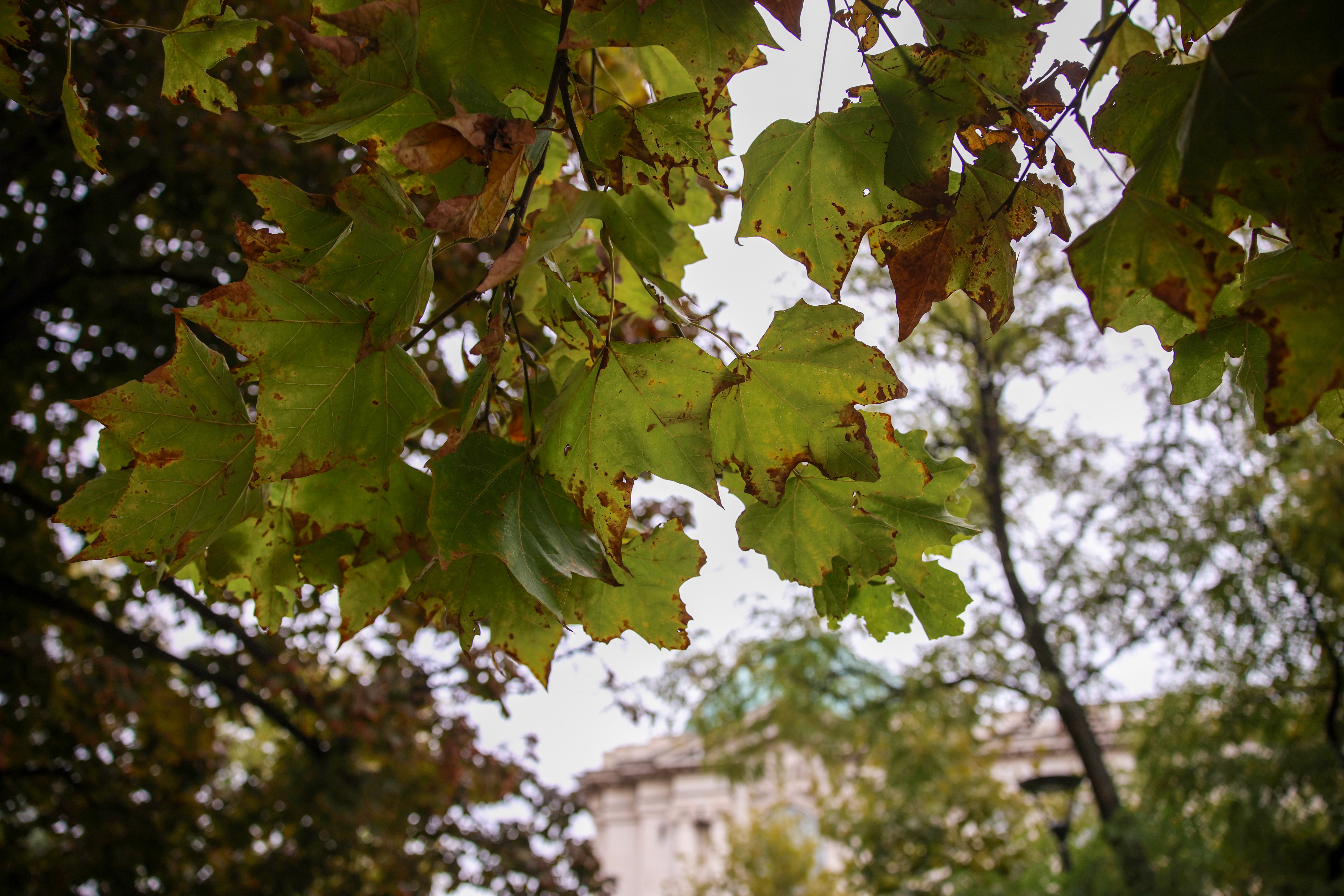 Temperatures will rise today