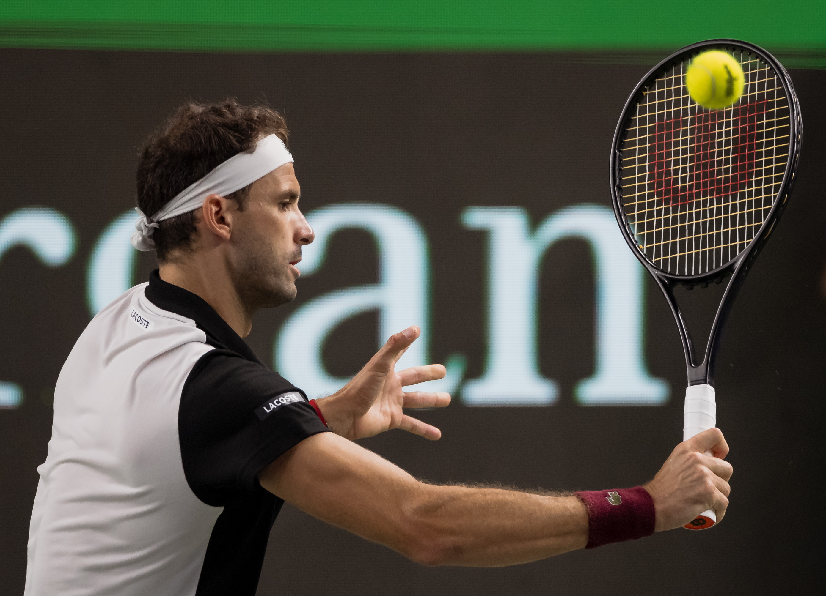 Grigor Dimitrov drops one place in the world rankings