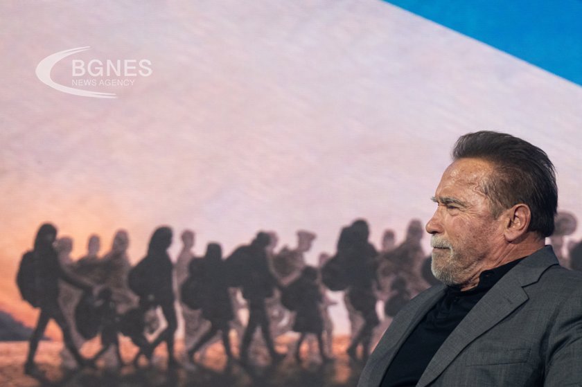 Schwarzenegger and Stallone 'tried to derail each other' in their prime in Hollywood