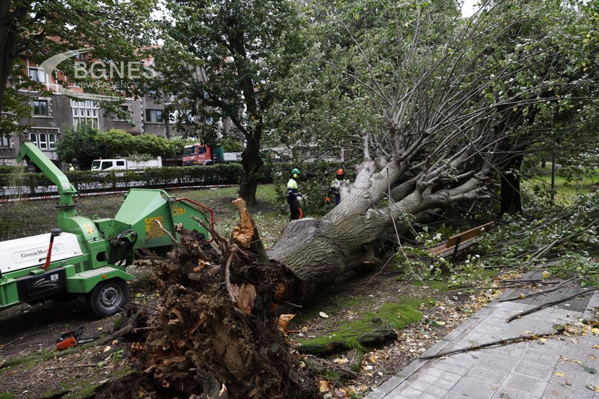Storm Ciaran pounded northern France with record-breaking gusts at almost 200km/h, killing a lorry driver