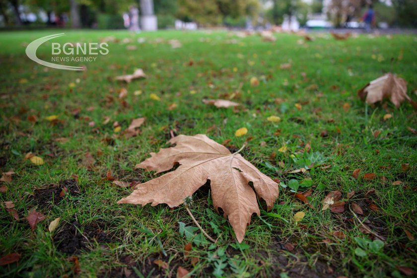 Yellow weather alert for severe winds of up to 20–22 m/s issued for 15 Bulgarian provinces