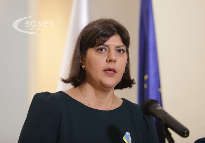 Laura Koveshi: The battle against corruption is linked to having the correct laws and enforcing them