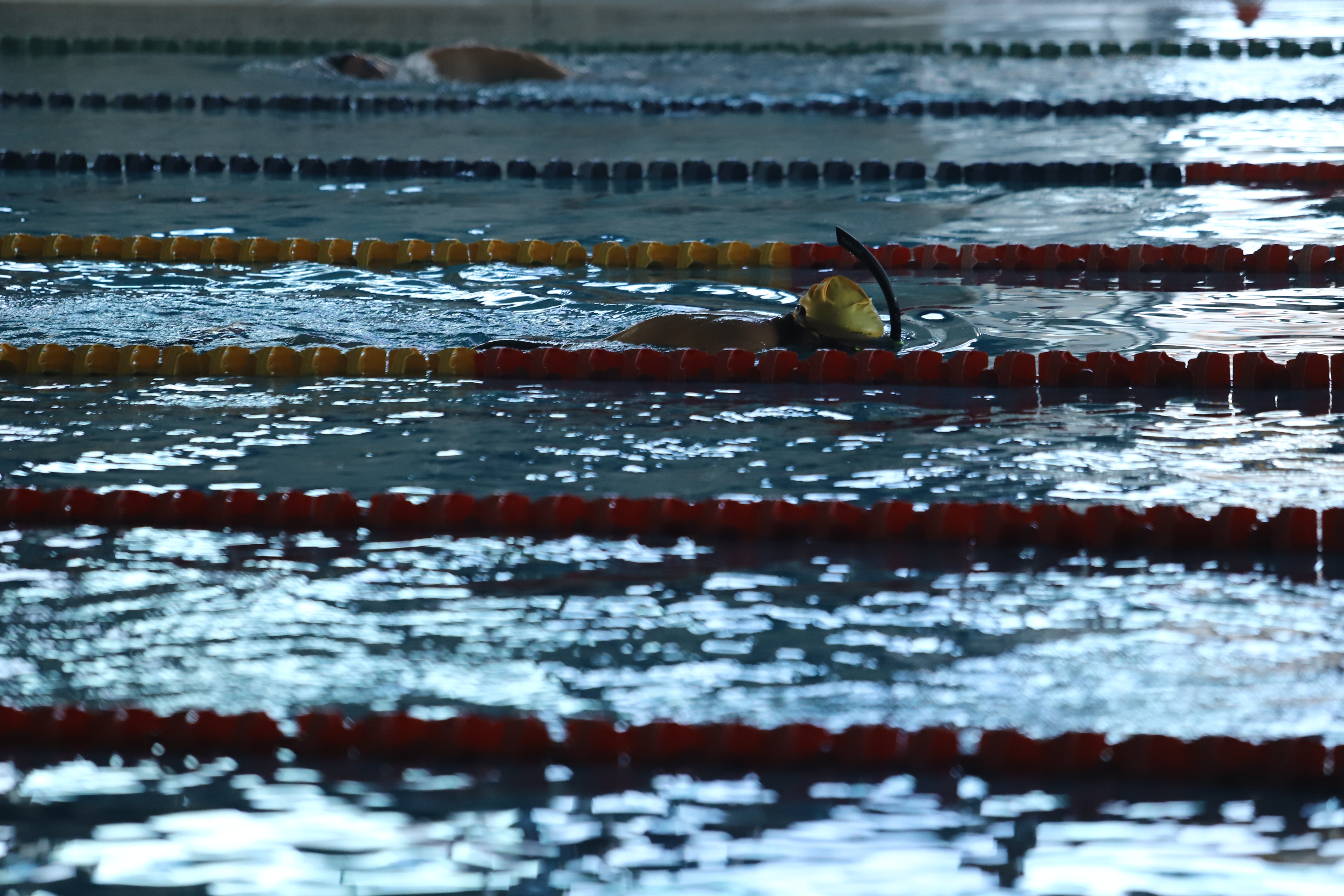 Bulgaria with five swimmers at the European short course championships in Bucharest