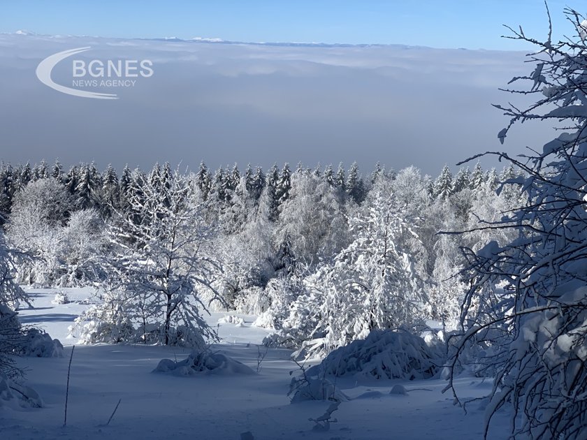 Bulgarian capital’s Vitosha mountains - a white winter fairy tale