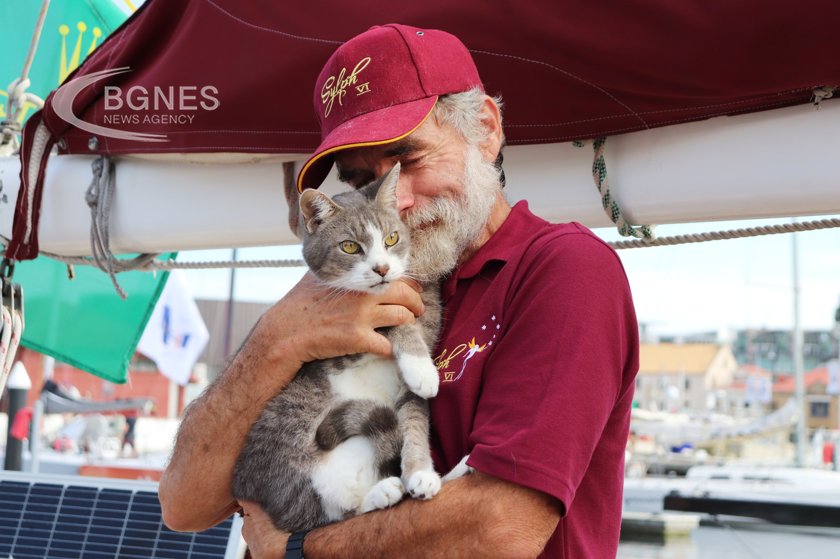 Ollie the cat completed the Sydney-Hobart after nearly eight days on the high seas