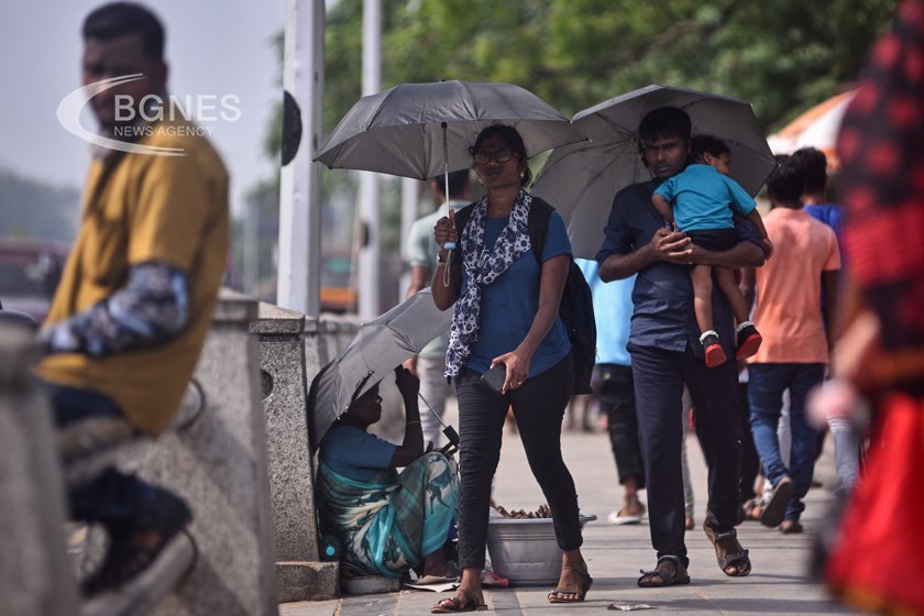 Extreme heat brings India to the brink of 'survival'