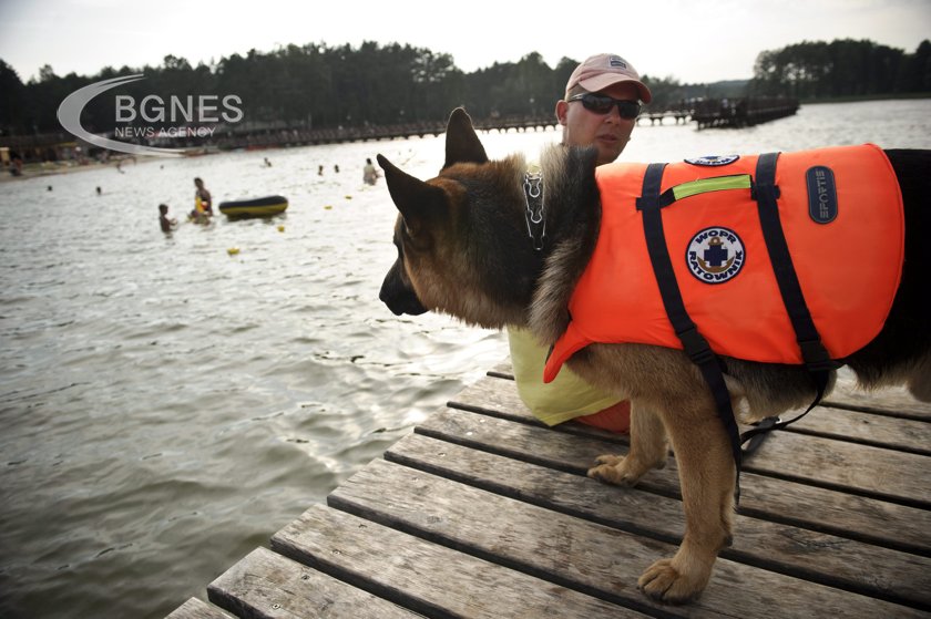A dog pulled its owner from a frozen lake