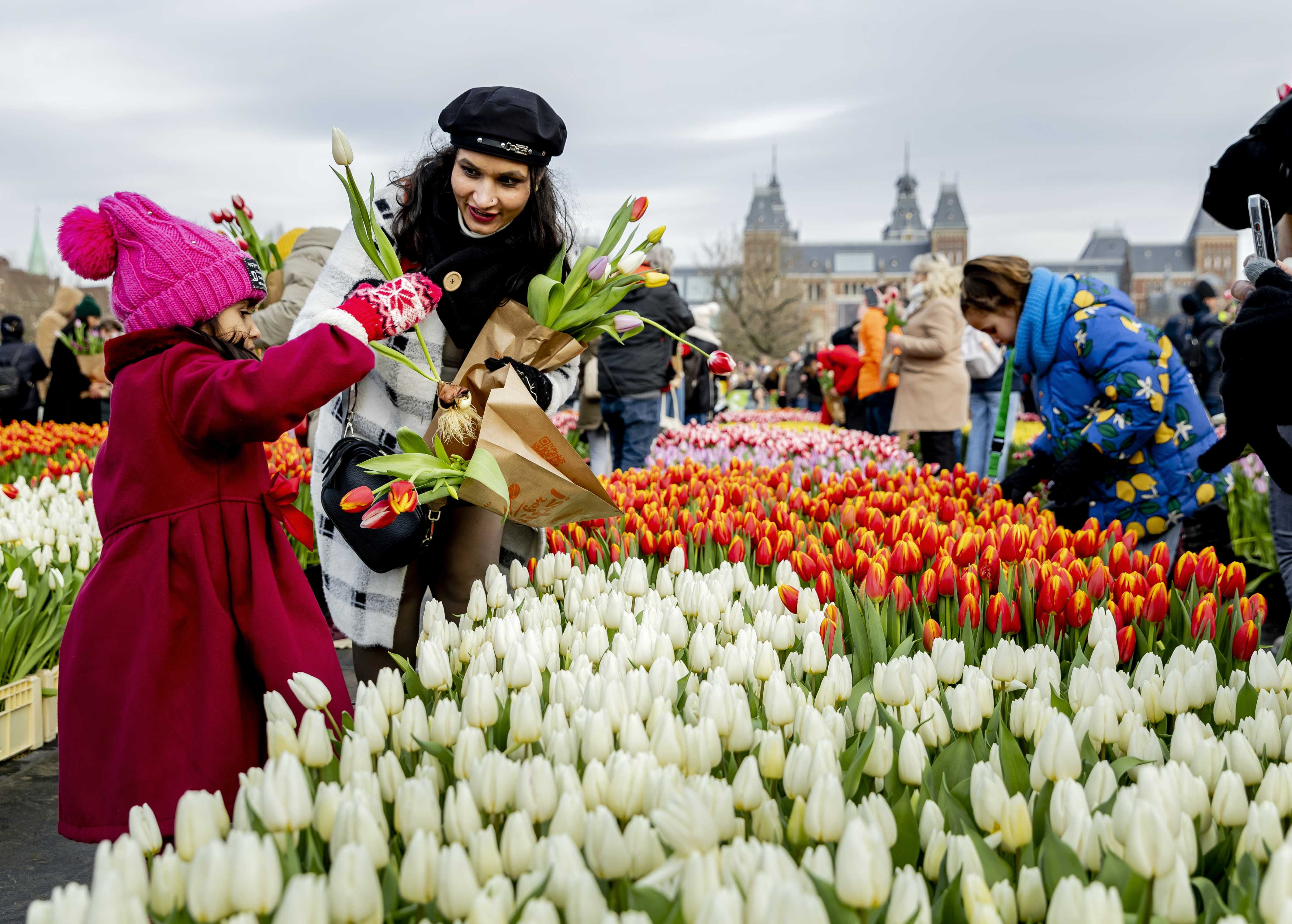 Netherlands celebrated National Tulip Day