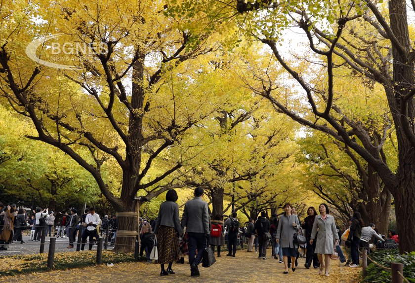 Ginkgo extract speeds up rehabilitation of post-stroke patients