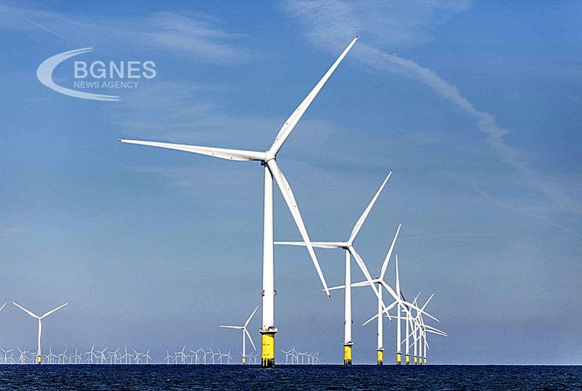 Wind power plants in the Black Sea do not pose a risk, the Ministry of Internal Affairs and Communications promises strict control