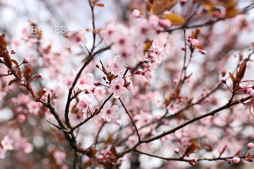 Happy Spring!