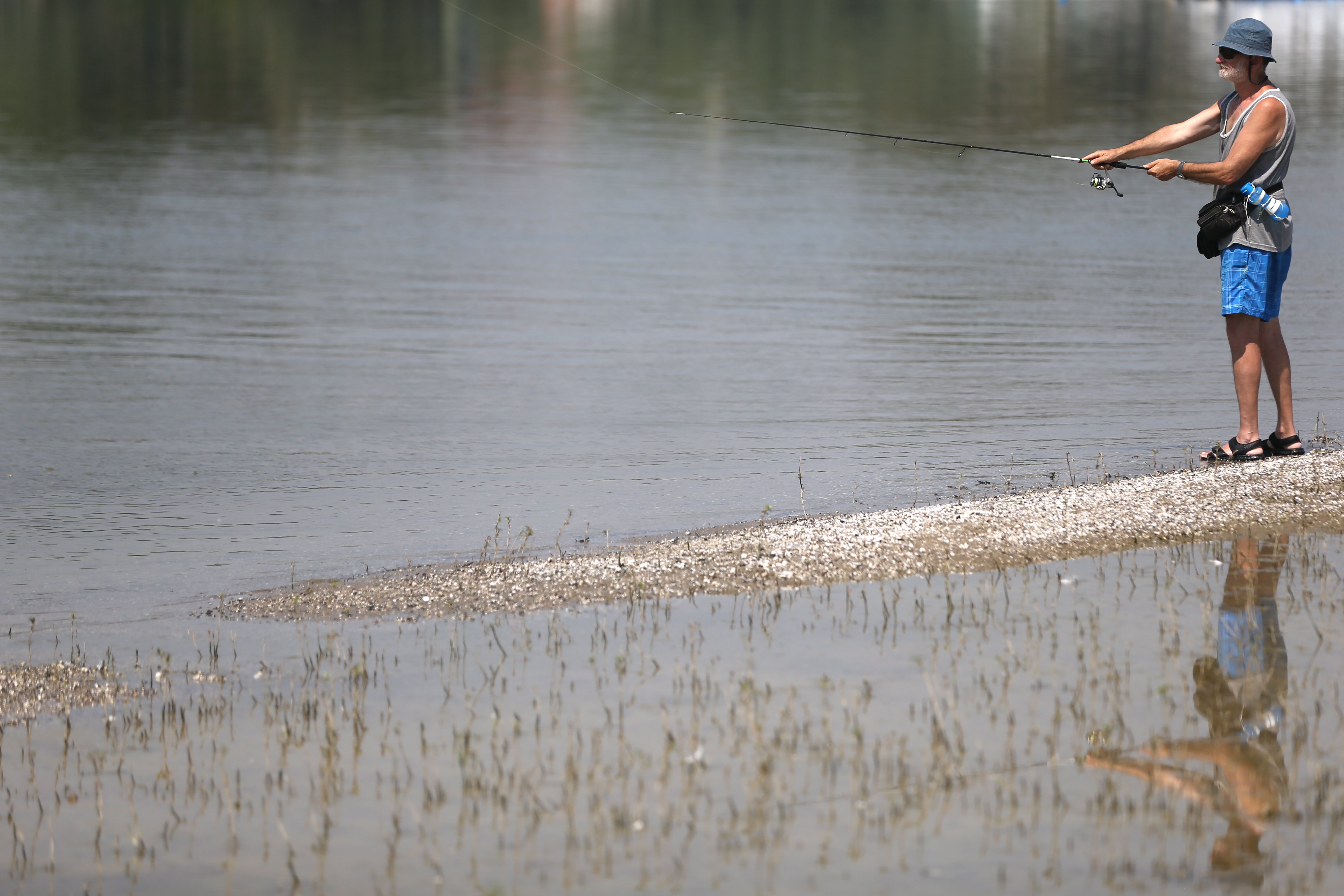 Report: river ecosystems in the Balkans are threatened by hydropower