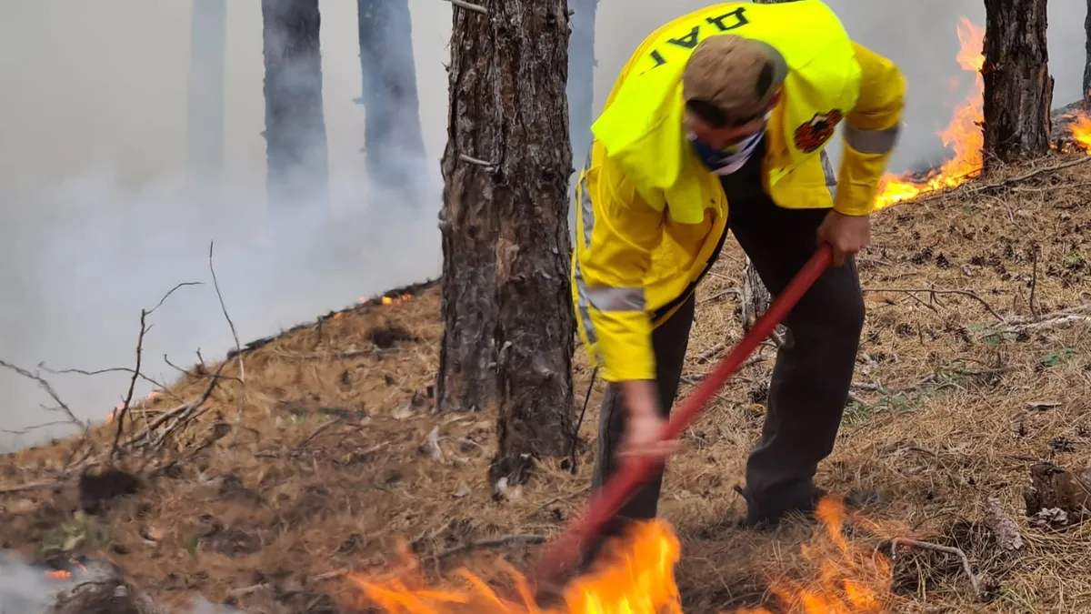 Wildfire from the Republic of Macedonia entered Bulgaria, burning 85 decares of forests in Kyustendilsko as well