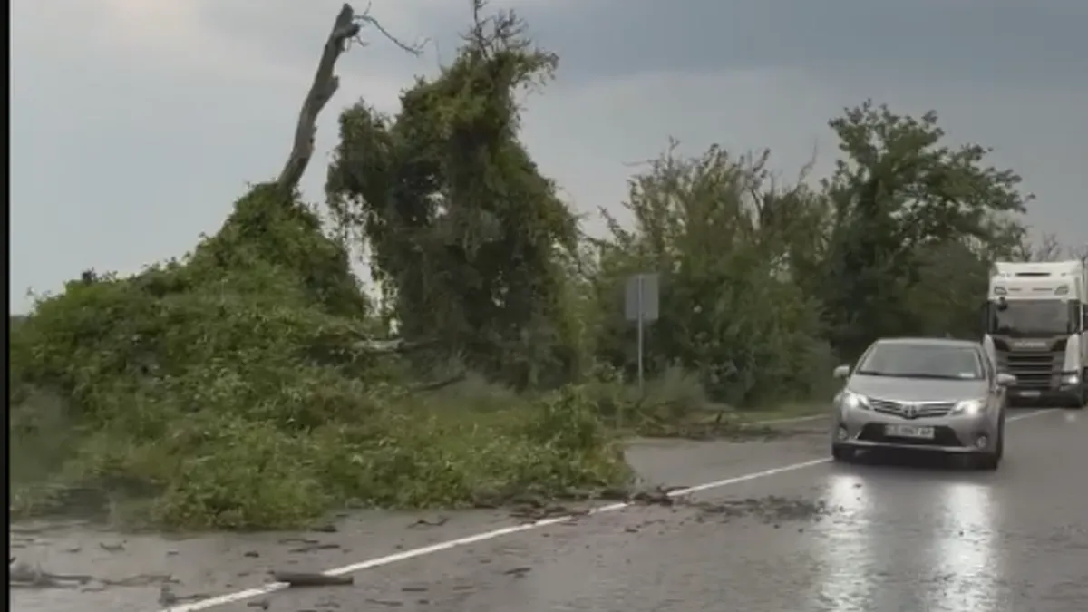 Bulgaria after days of wildfires - now storms hit, cars swept away, trees uprooted, villages without electricity