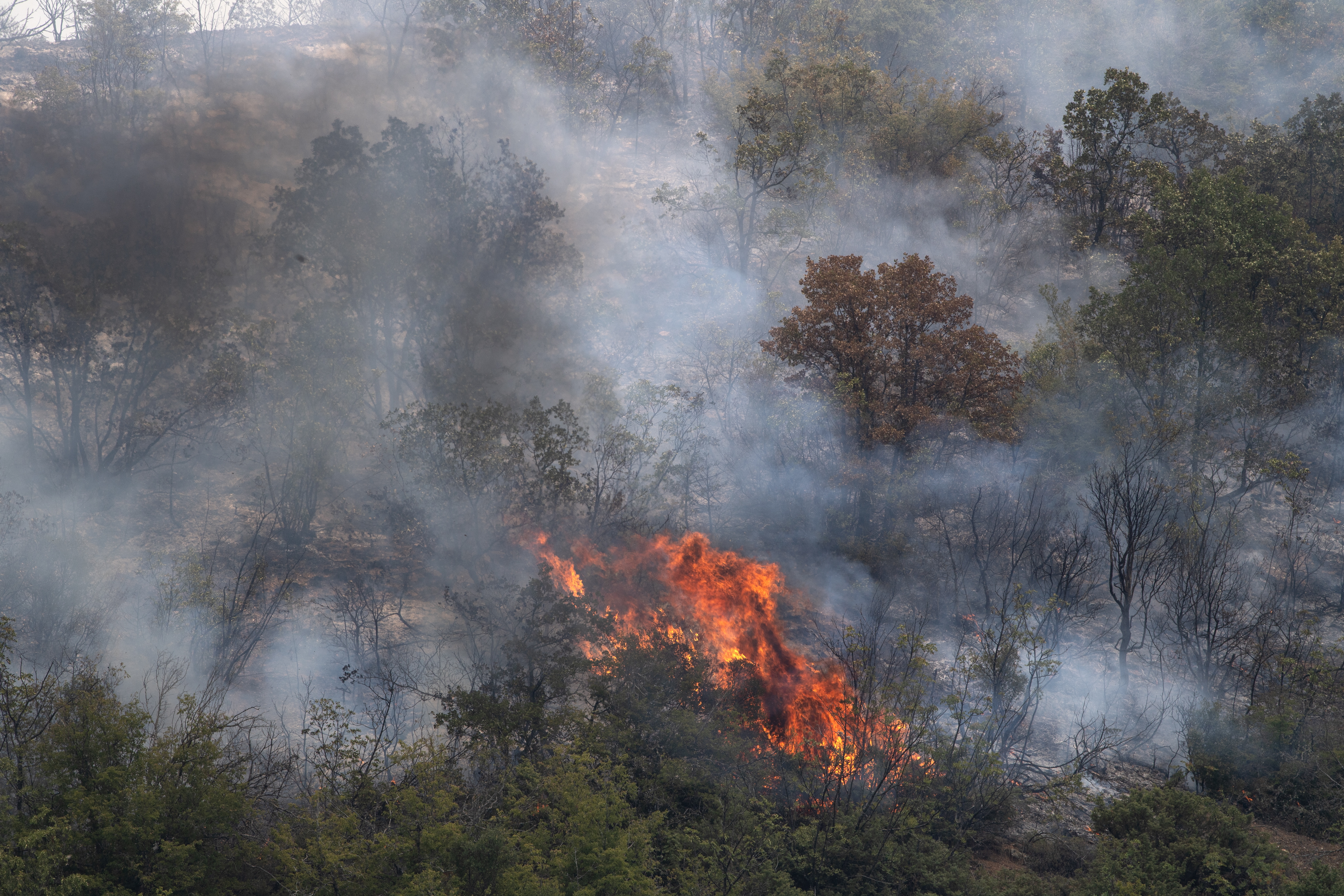 Helicopters dropped 120 tons of water over the fires in North Macedonia