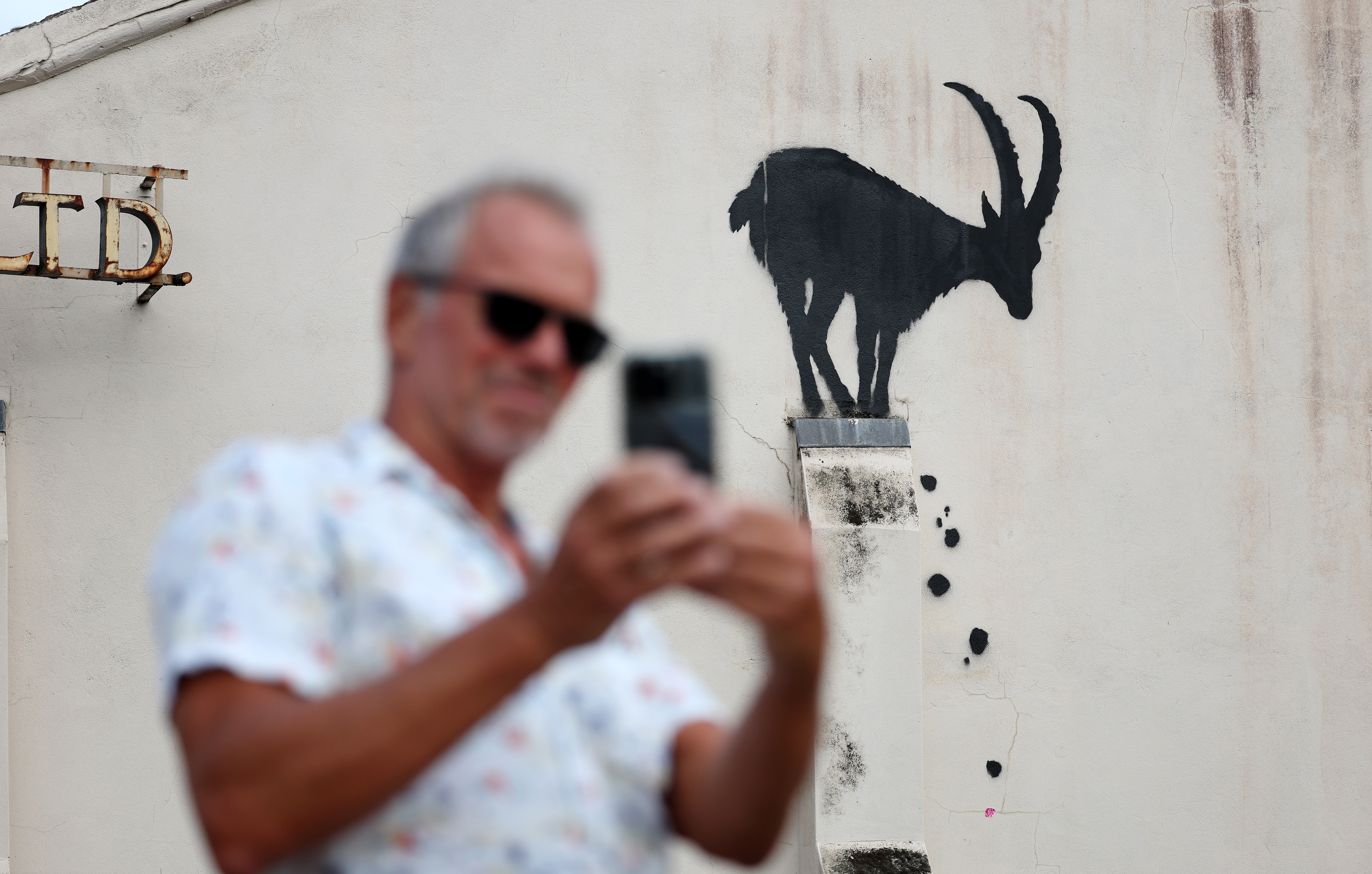 Banksy wows London with three new animal works