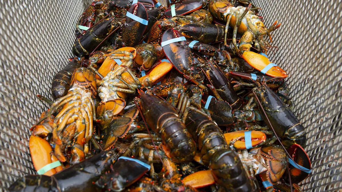 China ends sanctions on lobsters imported from Australia