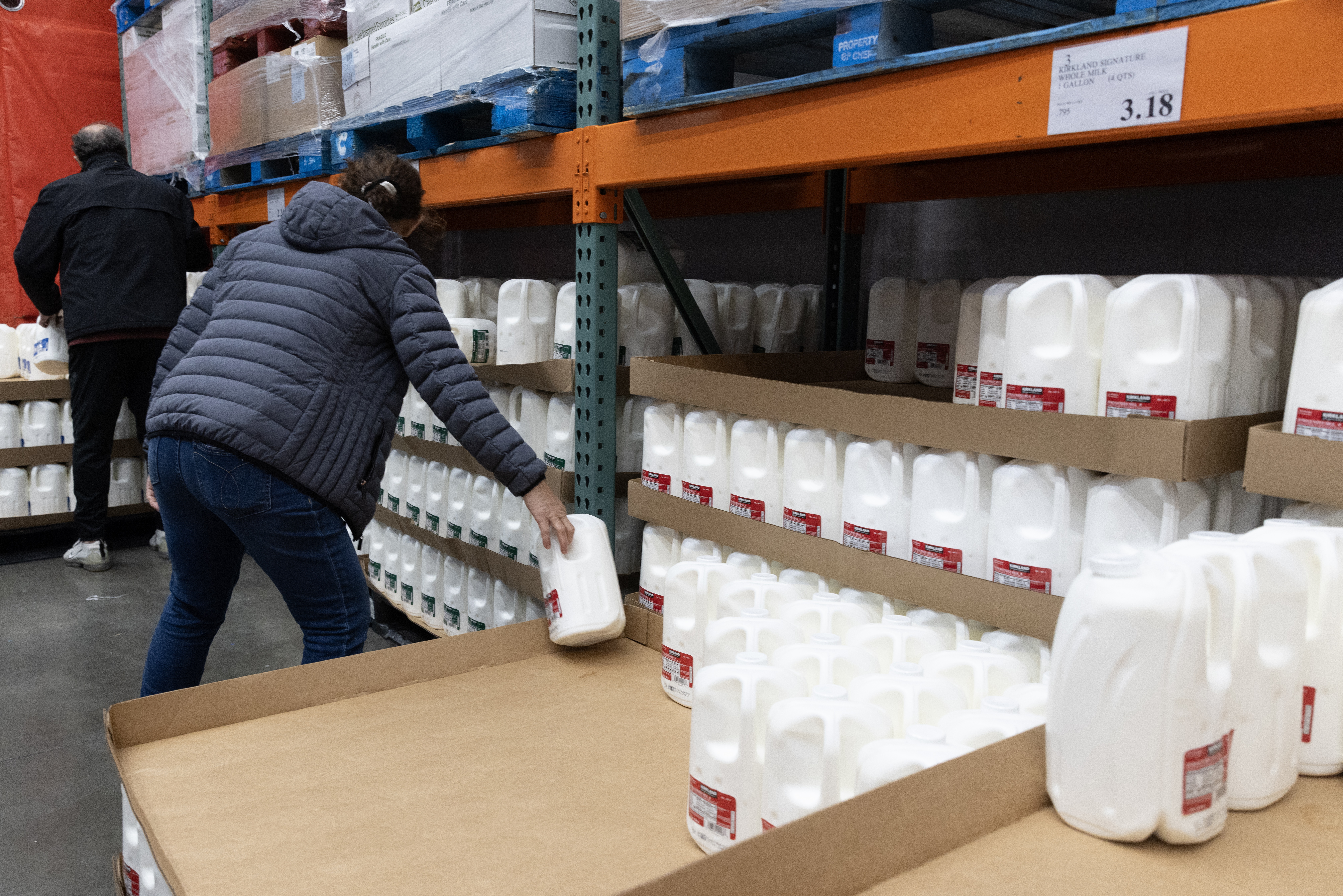 U.S. expands testing of milk supplies due to bird flu