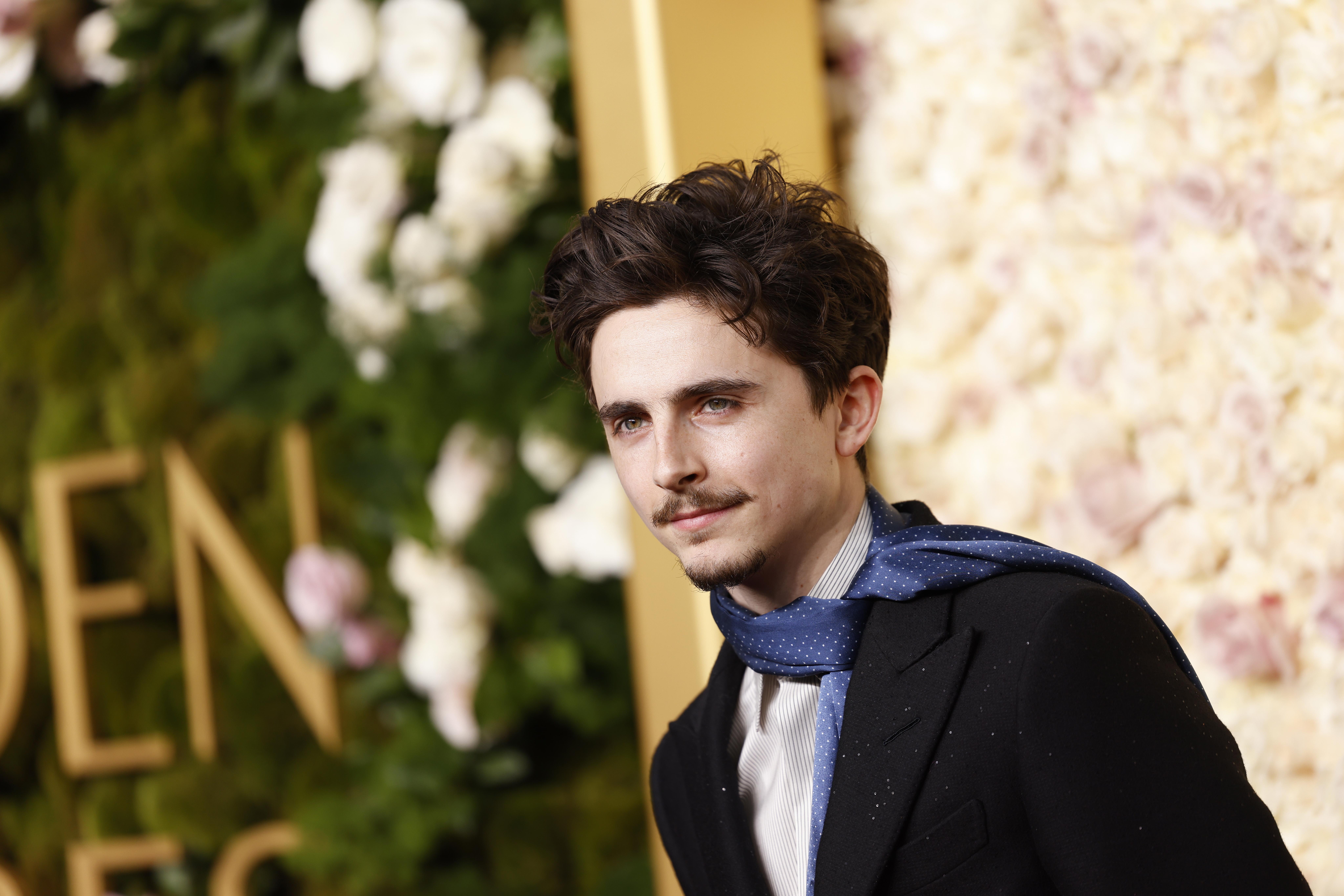 Timothée Chalamet: The world needs a new Bob Dylan