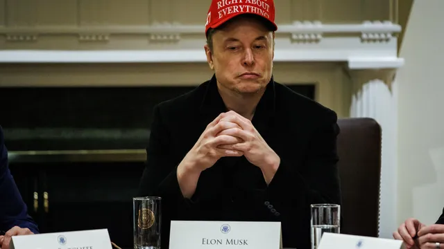 Is Musk's political career coming down to Earth?