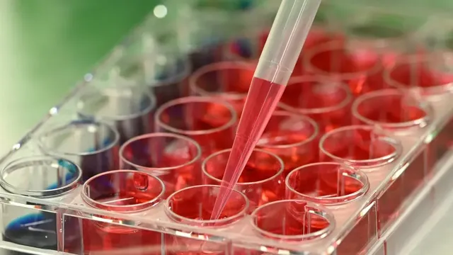 UK approves 'landmark' breast cancer drug