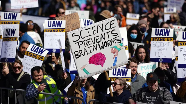 Cuts in US science spending are hurting European scientists too