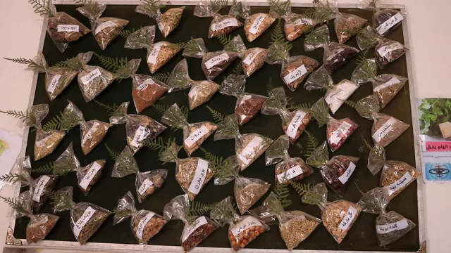 Commonly used herbs and spices that you should not mix with your medications