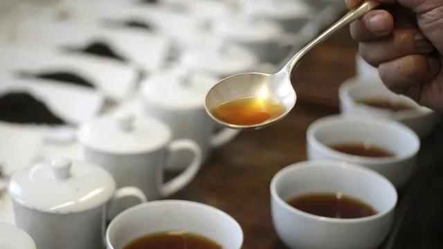 Black tea and berries may contribute to healthier ageing