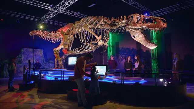 Scientists: Ancestors of Tyrannosaurus rex came from Asia
