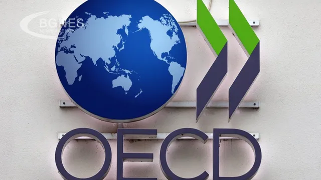 OECD: Steel subsidies in China distort the global market