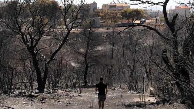 A Greek court has convicted four former officials for a deadly forest fire in 2018.