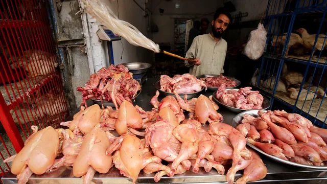 Brazil declares end to bird flu and resumes poultry exports