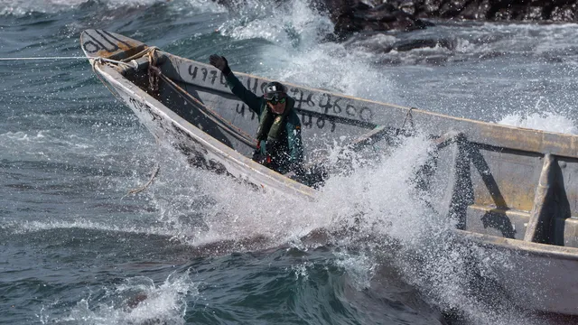 Over 400 refugees were rescued off the coast of Crete