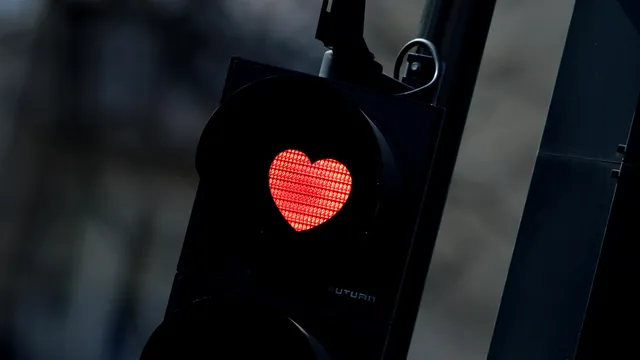 Scientists discover new way to slow and even reverse heart aging