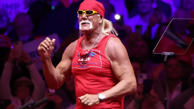 Wrestling icon Hulk Hogan dies aged 71