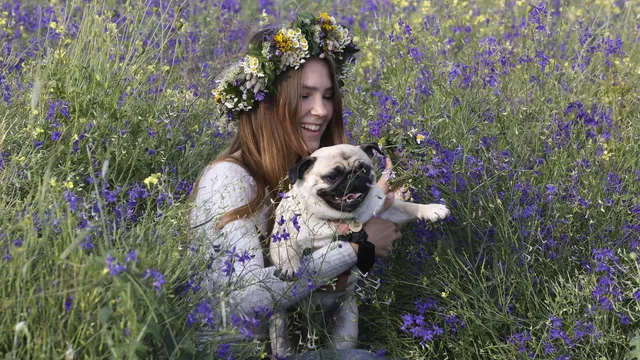 Dogs help people regulate stress even more than expected