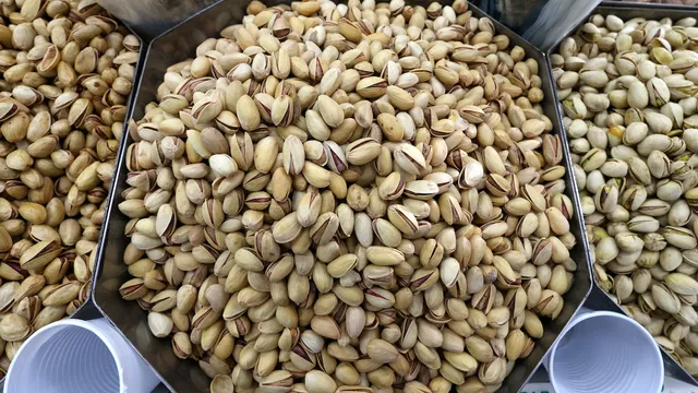 Pistachios may prevent intestinal diseases and diabetes