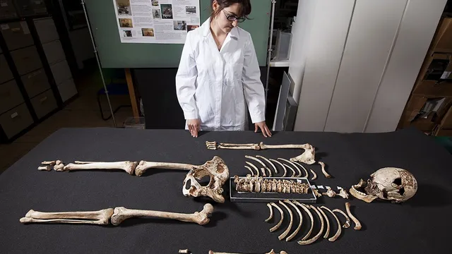 Scientists and artists bring Mesolithic woman to life