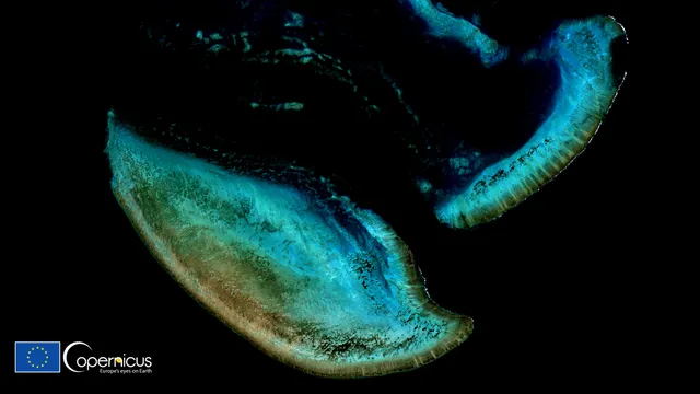 The Great Barrier Reef has been affected by the most extensive bleaching in history