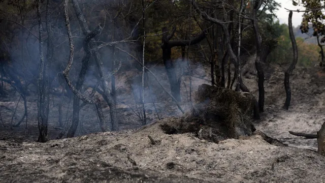 Hundreds of firefighters and soldiers battle wildfires in Albania