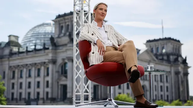 Bild: Alternative for Germany is now the leading political force