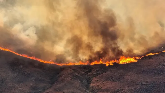 Balkans and Europe in the grip of fires, millions face record heat