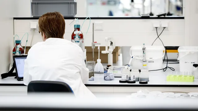 Scientists Capture Human Embryo Implantation for the First Time