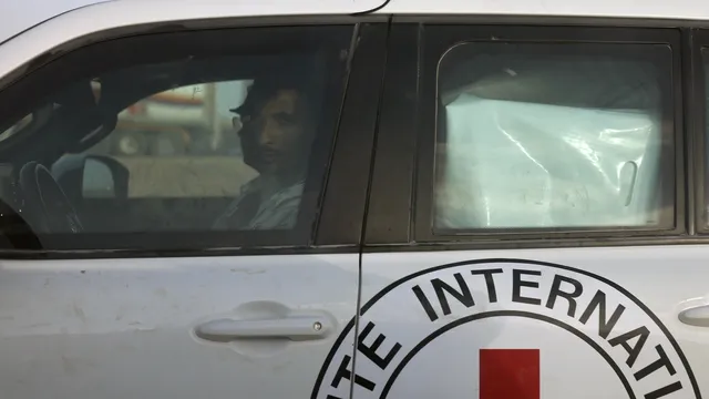 ICRC: Israel's offensive in Gaza is intolerable