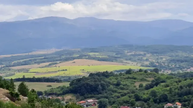 Scientists are puzzled by how a walk in nature recharges our brains