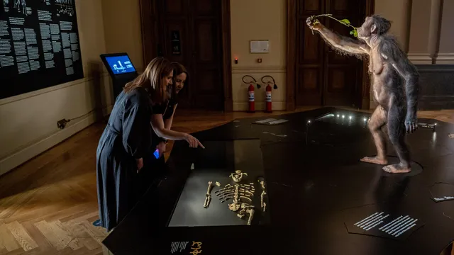 Bones of Australopithecus Lucy on display for the first time in Europe