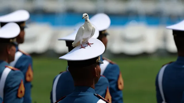 Mumbai’s pigeons have sparked a political and religious crisis