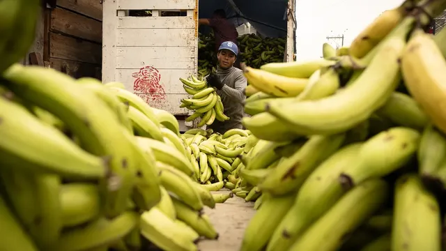 An expert pointed out the most beneficial and most harmful fruits for stomach health